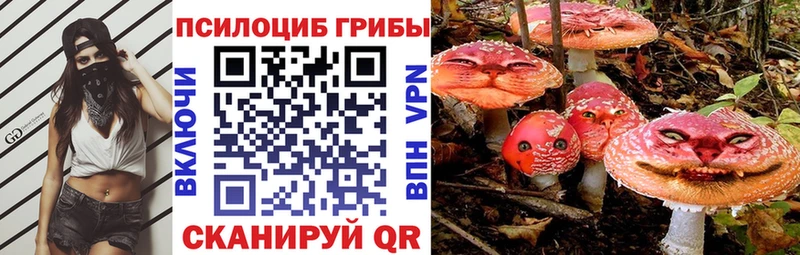 Галлюциногенные грибы прущие грибы  blacksprut вход  Тверь 