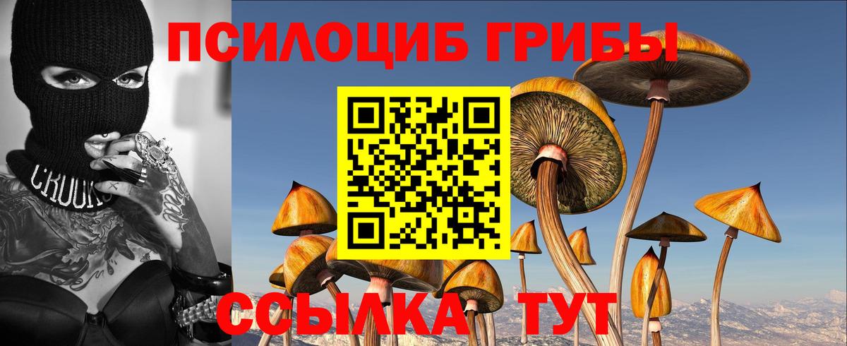 Тверь  Псилоцибиновые грибы MAGIC MUSHROOMS  закладка  Вход с VPN 